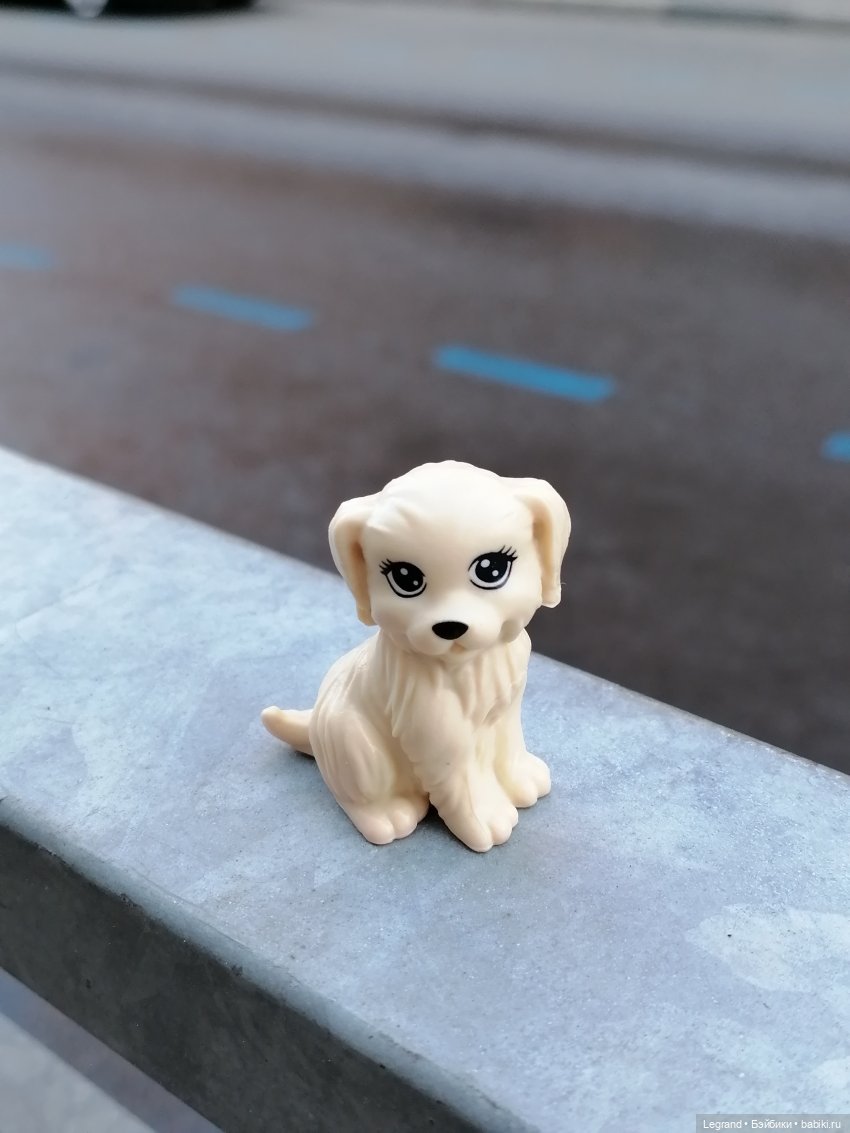 Санкт-Петербург: длинная прогулка с Кирой - по дороге к Невскому