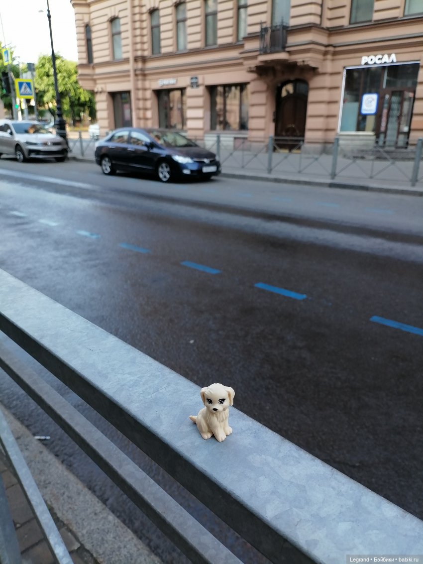 Санкт-Петербург: длинная прогулка с Кирой - по дороге к Невскому