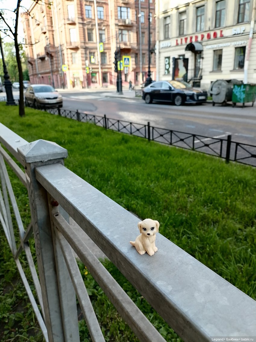 Санкт-Петербург: длинная прогулка с Кирой - по дороге к Невскому