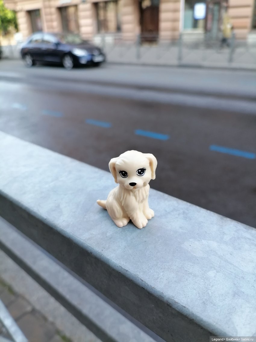 Санкт-Петербург: длинная прогулка с Кирой - по дороге к Невскому