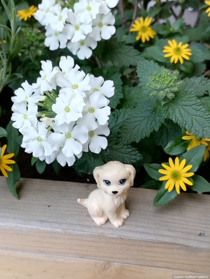 Санкт-Петербург: Кира и Аланья на ул. Восстания