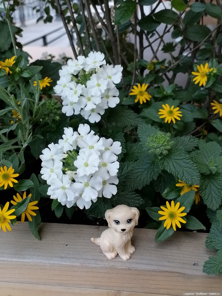 Санкт-Петербург: Кира и Аланья на ул. Восстания