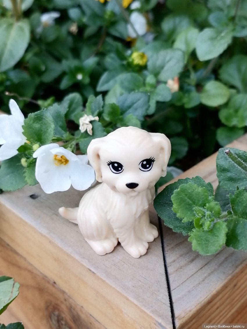 Санкт-Петербург: Кира и Аланья на ул. Восстания