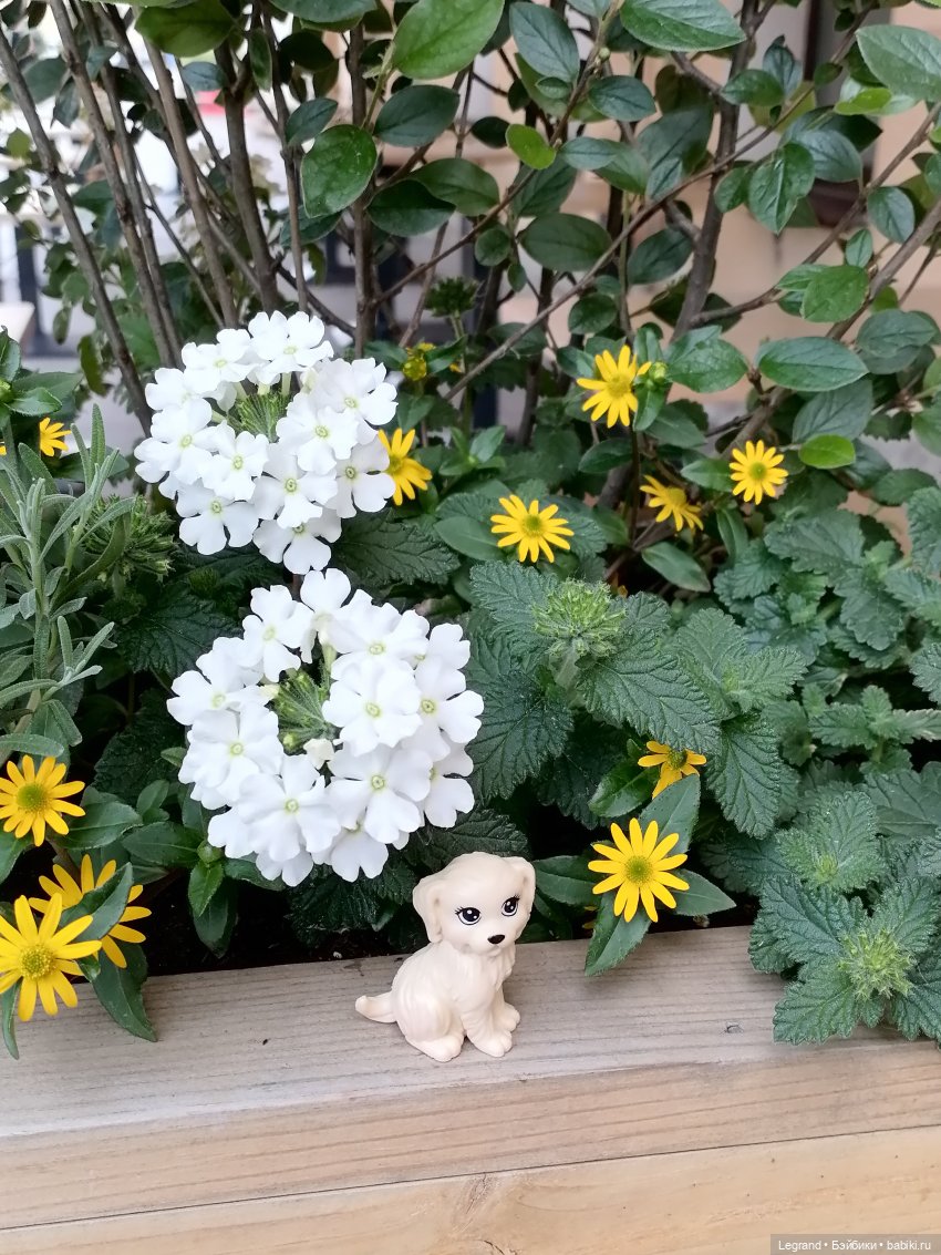 Санкт-Петербург: Кира и Аланья на ул. Восстания