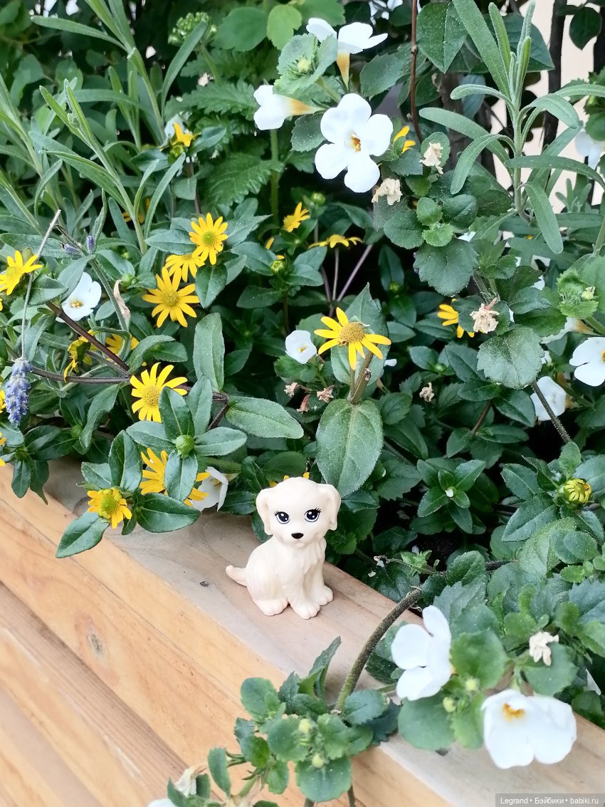 Санкт-Петербург: Кира и Аланья на ул. Восстания