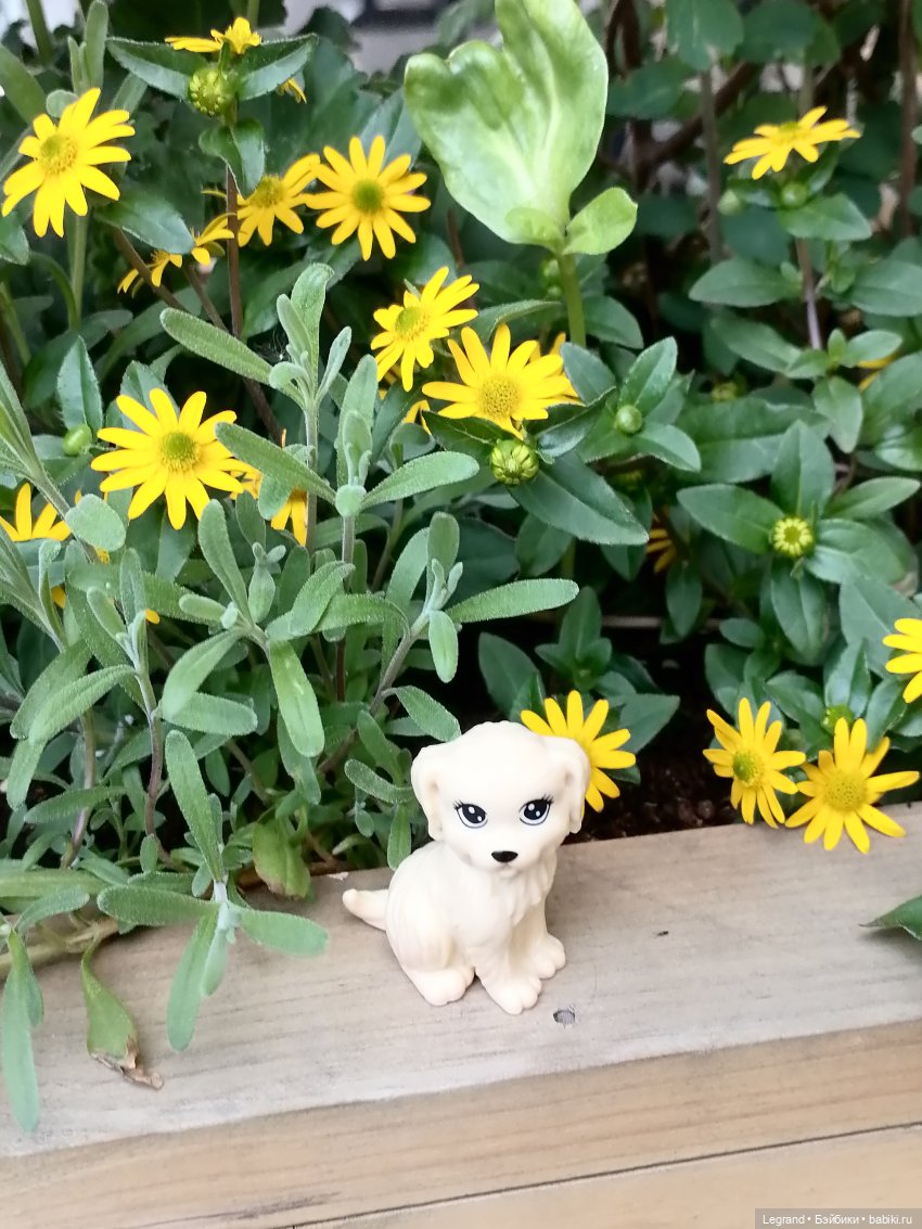 Санкт-Петербург: Кира и Аланья на ул. Восстания