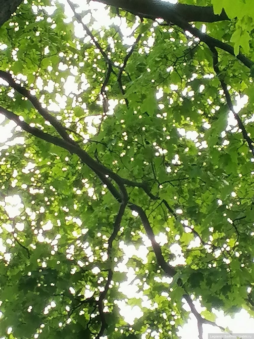 Санкт-Петербург: Кира и Аланья на ул. Восстания