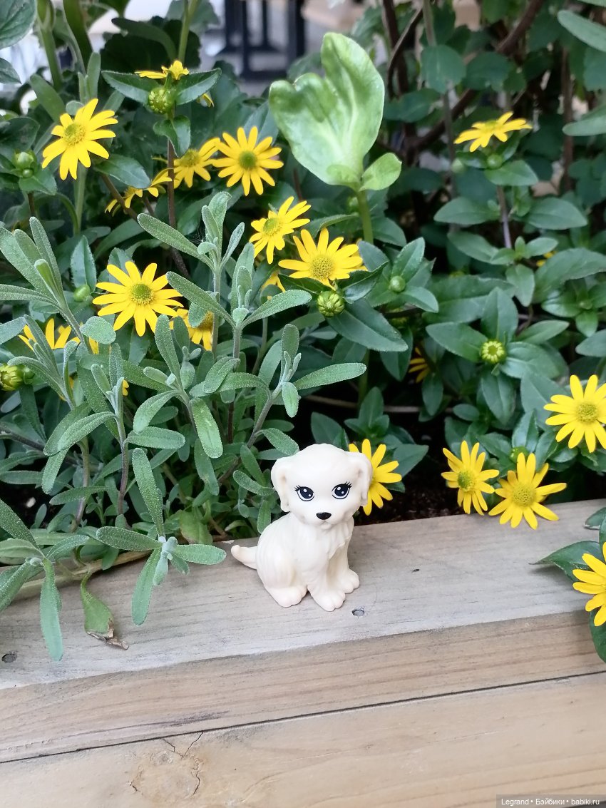 Санкт-Петербург: Кира и Аланья на ул. Восстания