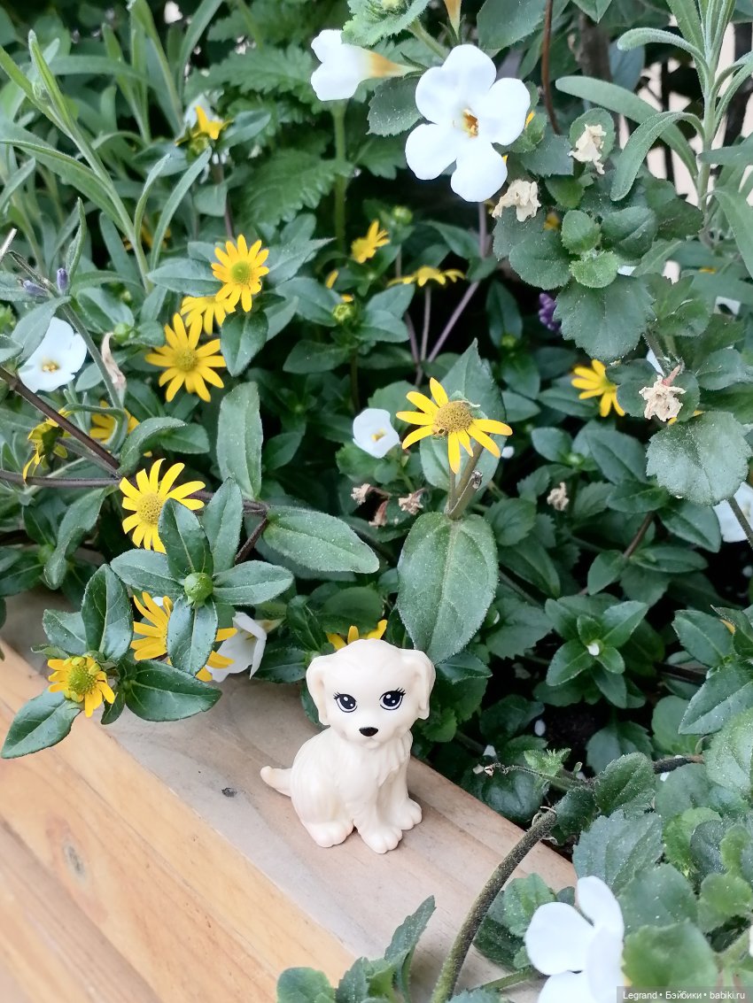 Санкт-Петербург: Кира и Аланья на ул. Восстания