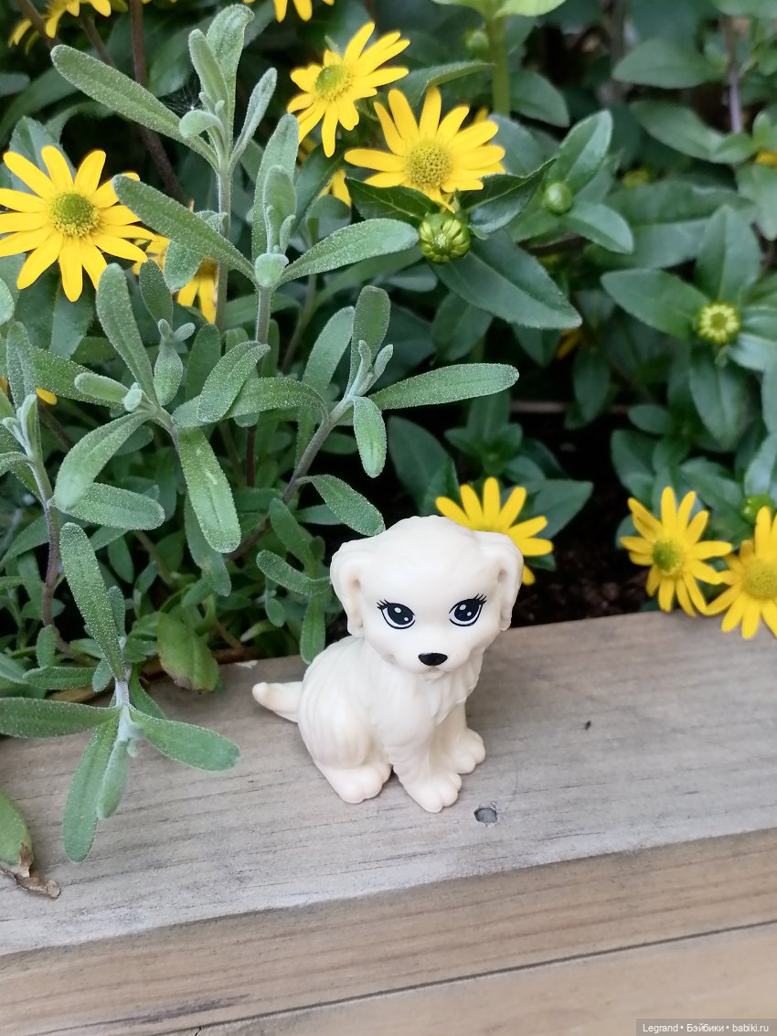 Санкт-Петербург: Кира и Аланья на ул. Восстания (фото 10)