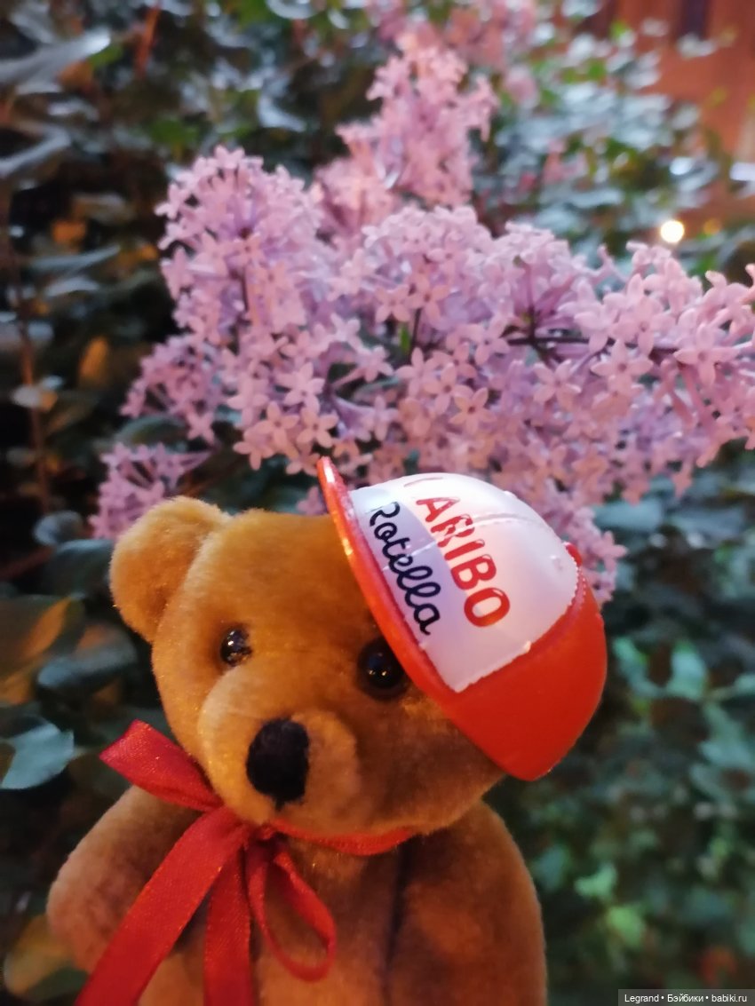 Из жизни моих мишек: вечерняя прогулка Мишеля