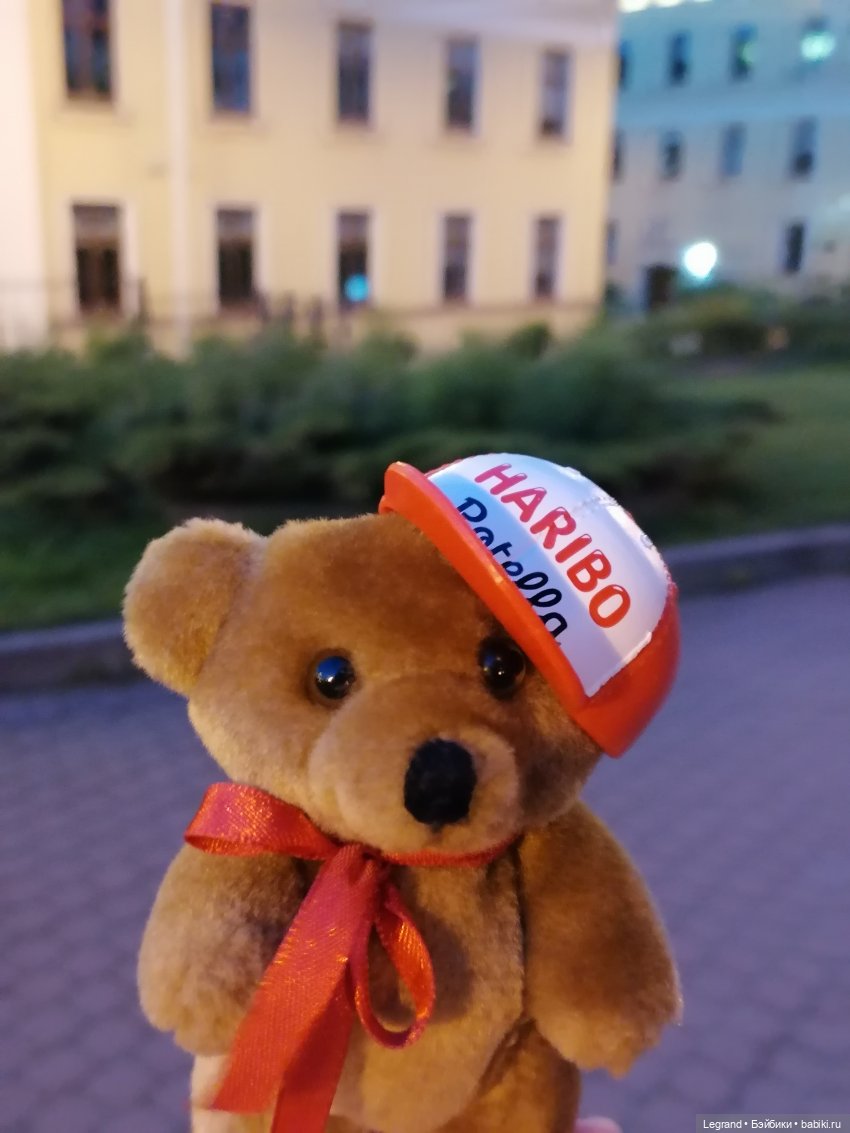 Из жизни моих мишек: вечерняя прогулка Мишеля