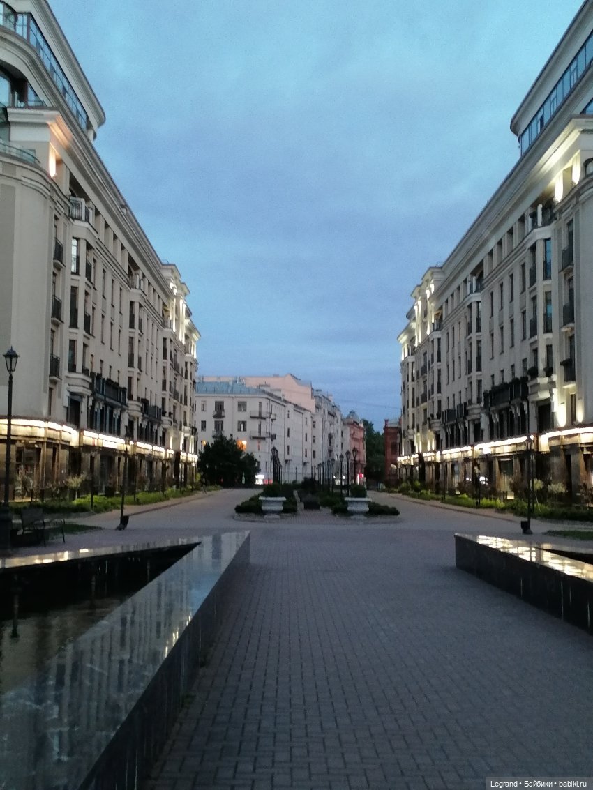 Из жизни моих мишек: Мишель и вечерний кофе в Парадном