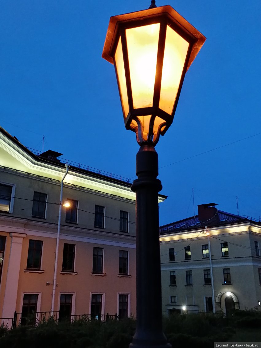 Из жизни моих мишек: вечерняя прогулка Мишеля (фото 6)