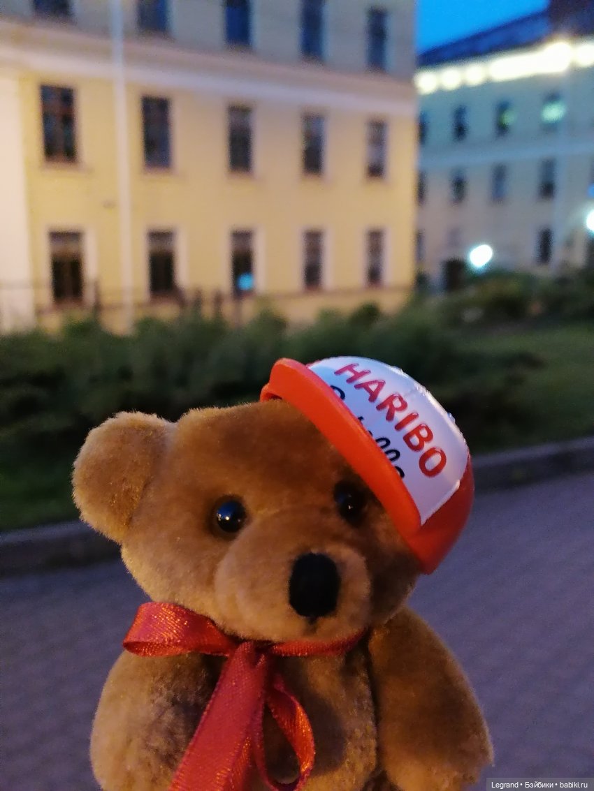 Из жизни моих мишек: вечерняя прогулка Мишеля