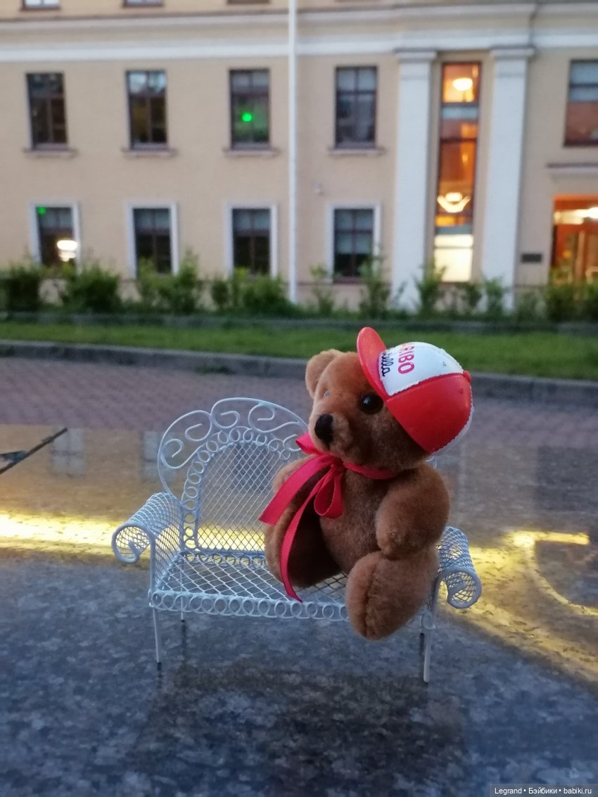 Из жизни моих мишек: вечерняя прогулка Мишеля (фото 3)