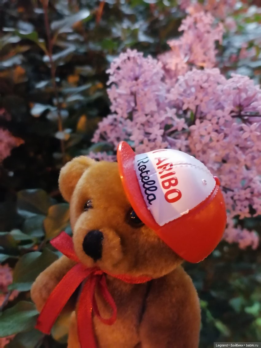 Из жизни моих мишек: вечерняя прогулка Мишеля