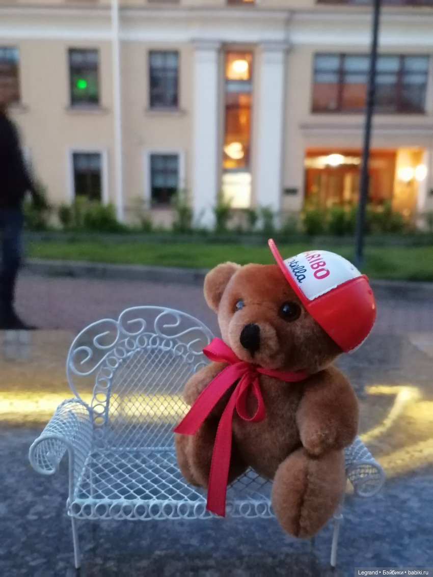 Из жизни моих мишек: вечерняя прогулка Мишеля (фото 2)