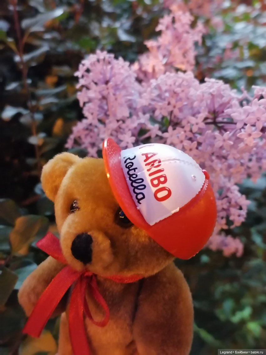 Из жизни моих мишек: вечерняя прогулка Мишеля