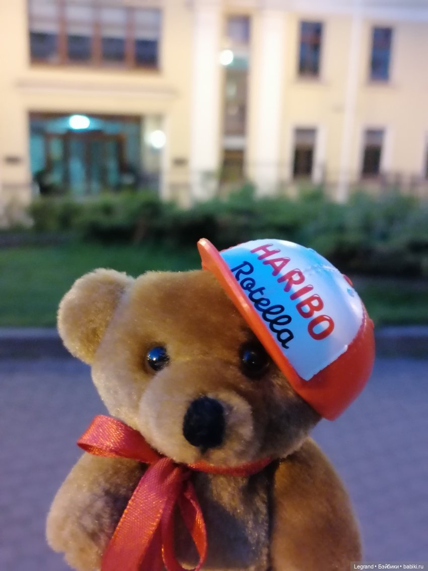 Из жизни моих мишек: вечерняя прогулка Мишеля