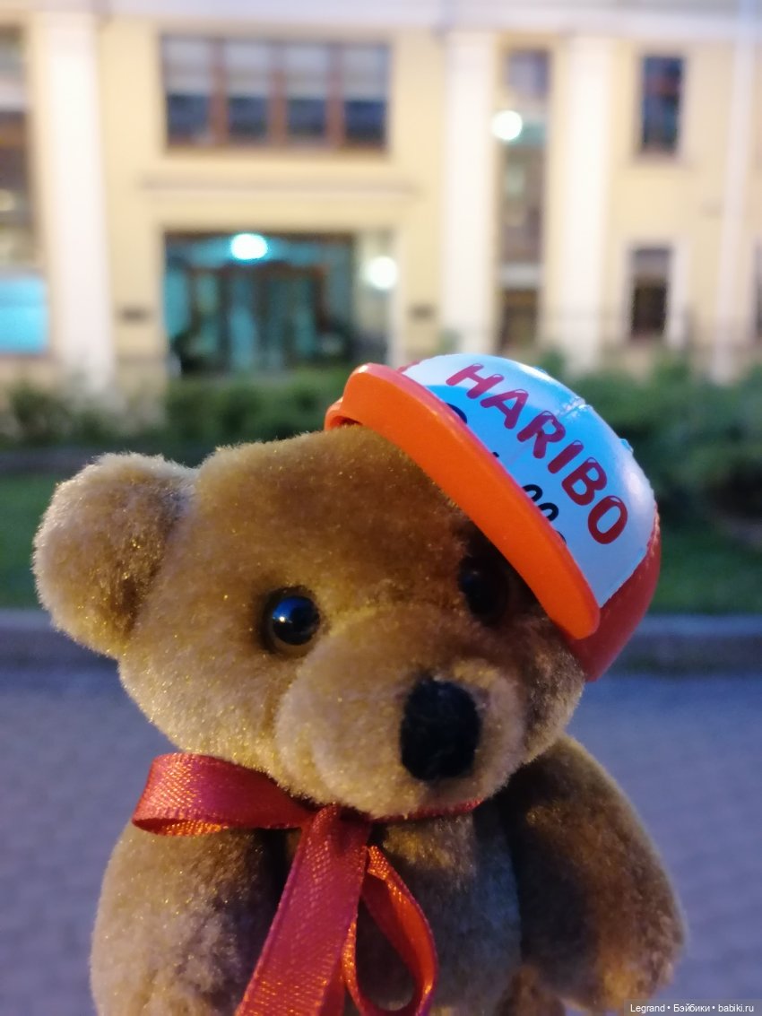 Из жизни моих мишек: вечерняя прогулка Мишеля