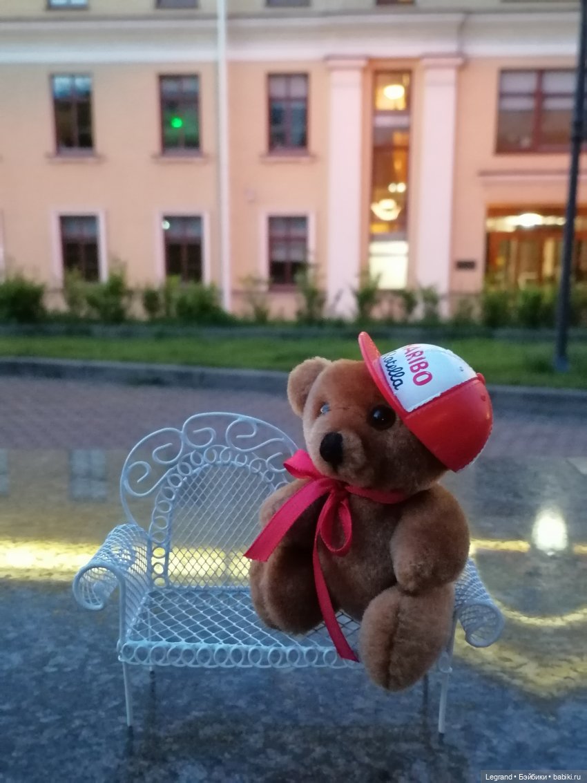 Из жизни моих мишек: вечерняя прогулка Мишеля (фото 4)