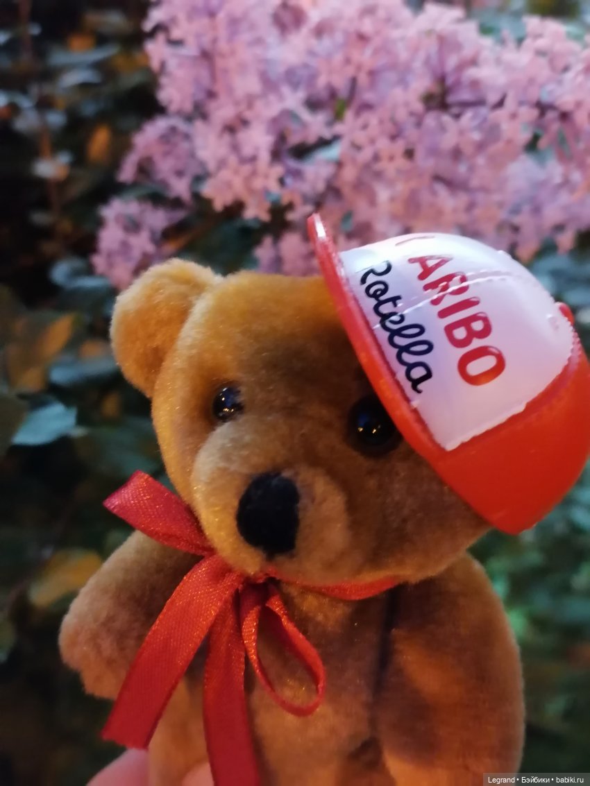 Из жизни моих мишек: вечерняя прогулка Мишеля