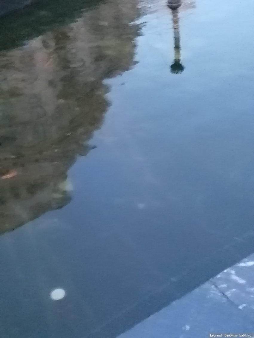 Из жизни моих мишек: Мишель и вечерний кофе в Парадном