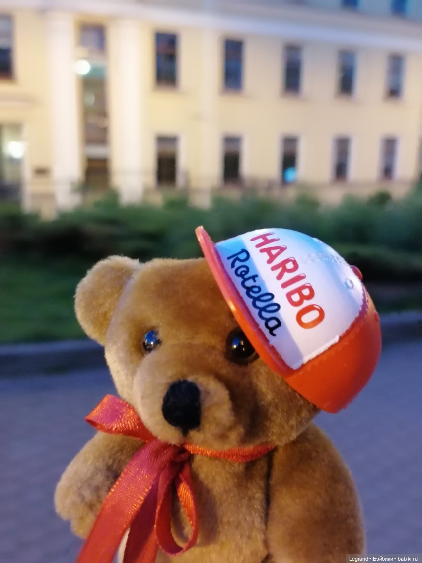 Из жизни моих мишек: Мишель и вечерний кофе в Парадном