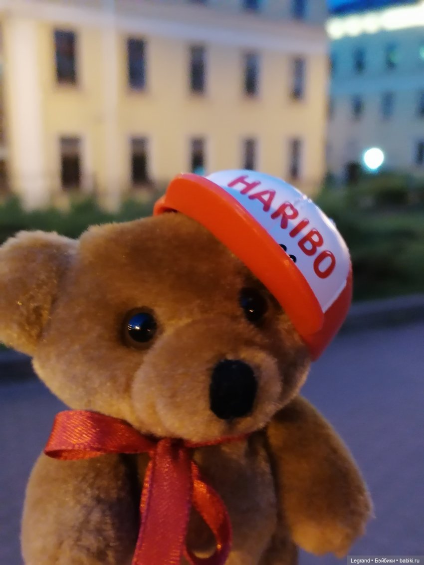 Из жизни моих мишек: вечерняя прогулка Мишеля