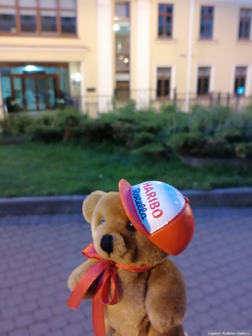 Из жизни моих мишек: вечерняя прогулка Мишеля