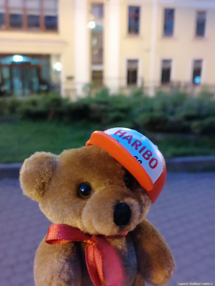 Из жизни моих мишек: вечерняя прогулка Мишеля