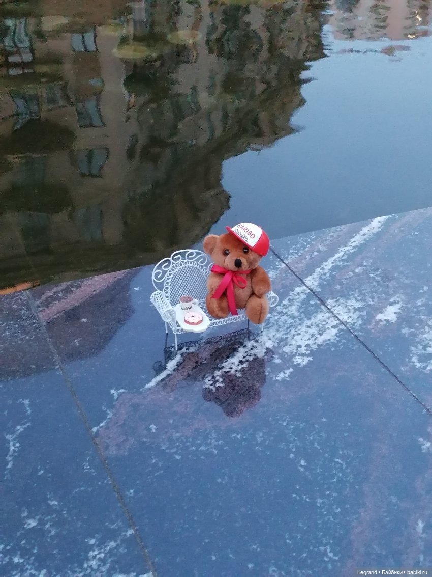 Из жизни моих мишек: Мишель и вечерний кофе в Парадном (фото 5)