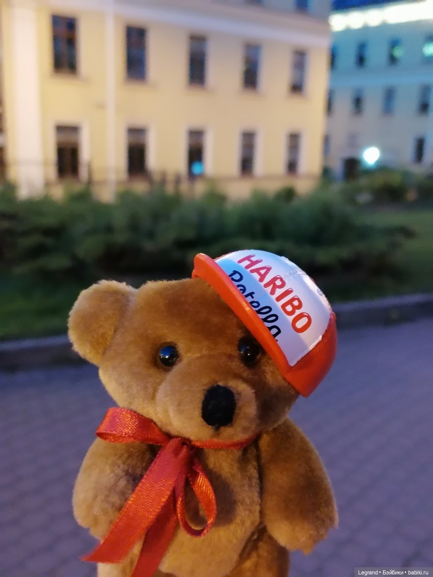 Из жизни моих мишек: вечерняя прогулка Мишеля