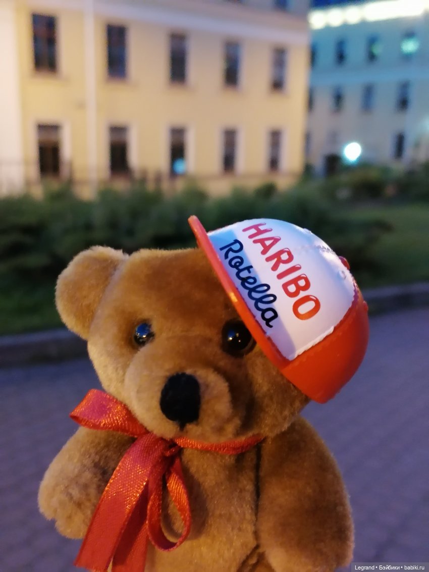 Из жизни моих мишек: вечерняя прогулка Мишеля