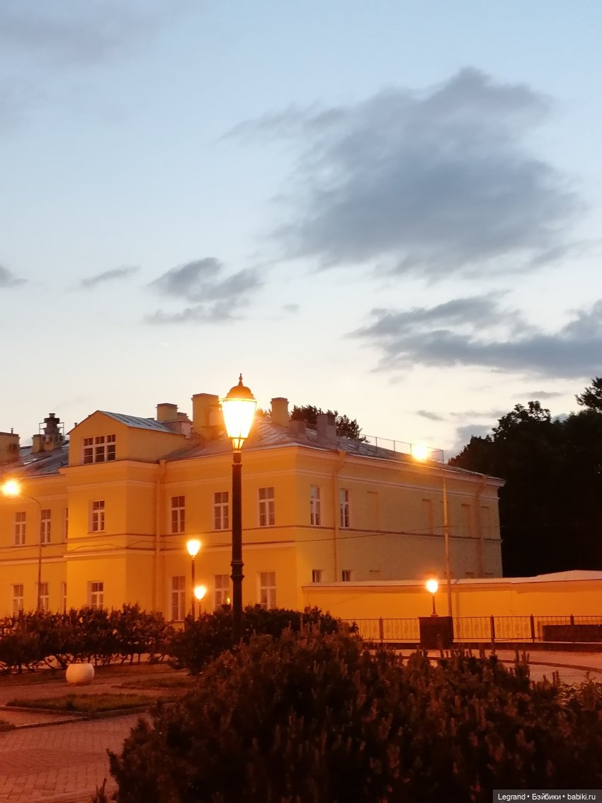 Из жизни моих мишек: вечерняя прогулка Мишеля