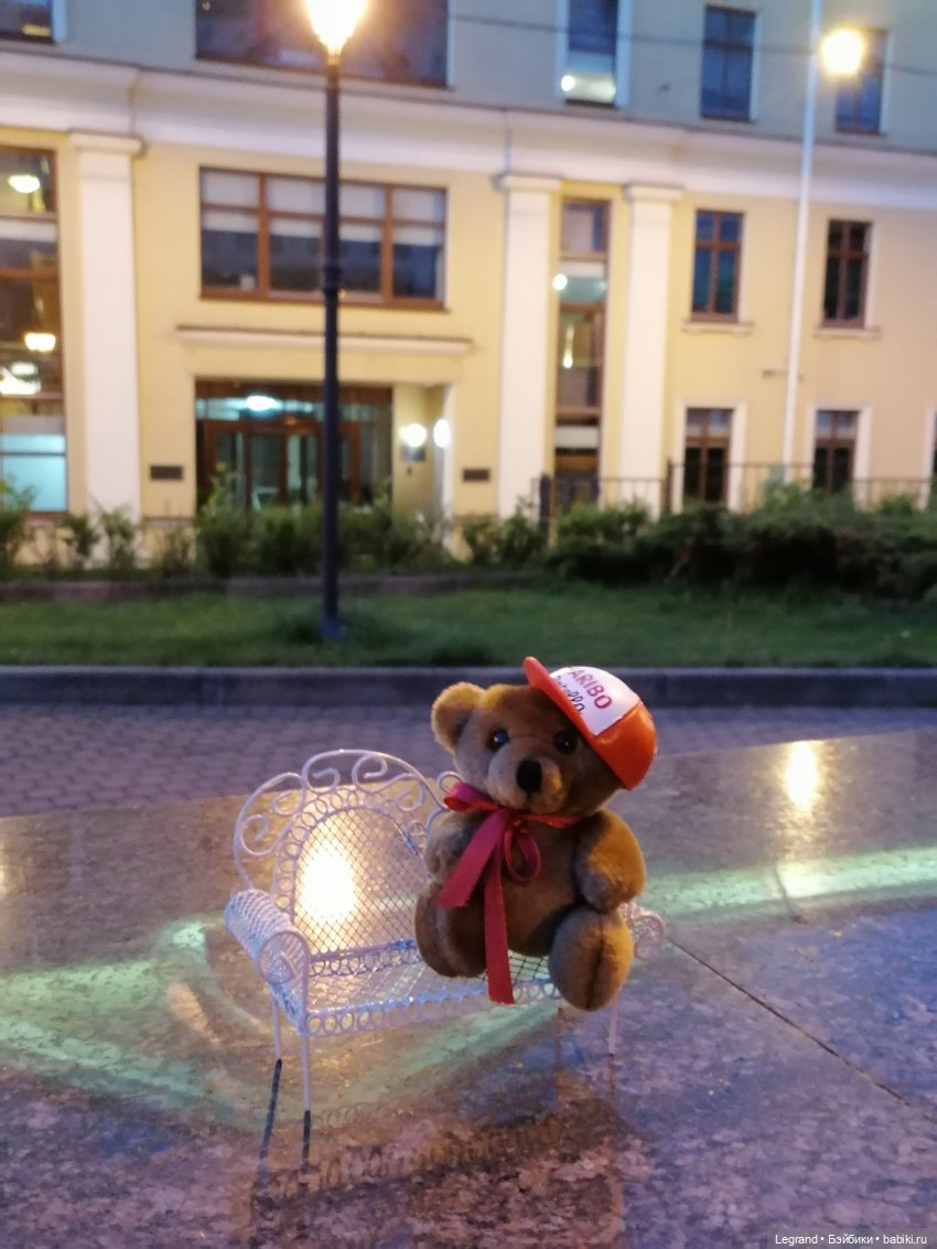 Из жизни моих мишек: вечерняя прогулка Мишеля