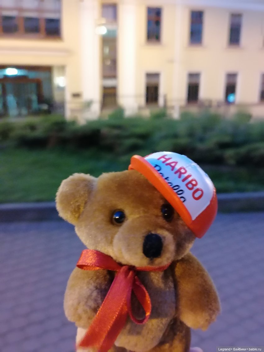 Из жизни моих мишек: вечерняя прогулка Мишеля