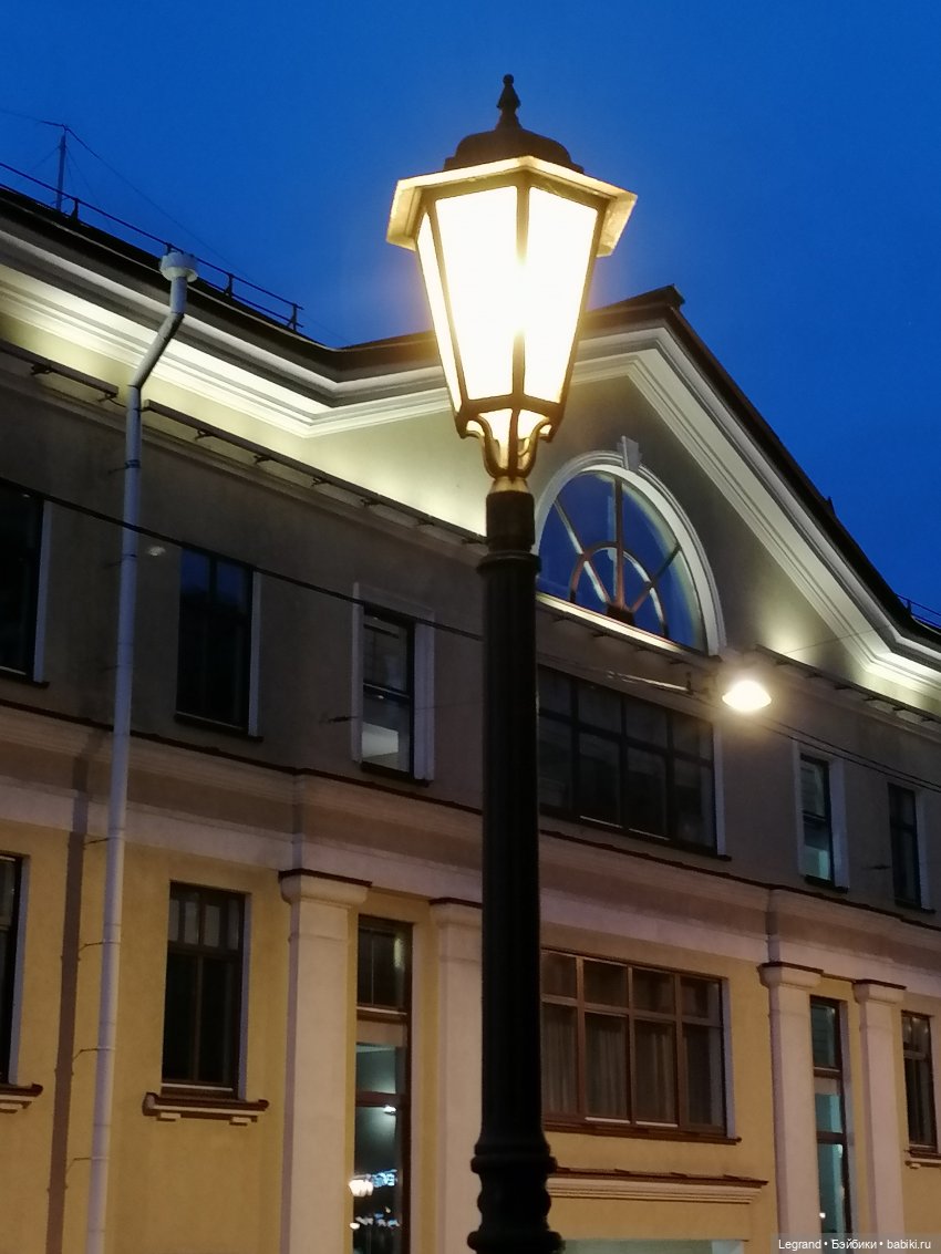 Из жизни моих мишек: вечерняя прогулка Мишеля