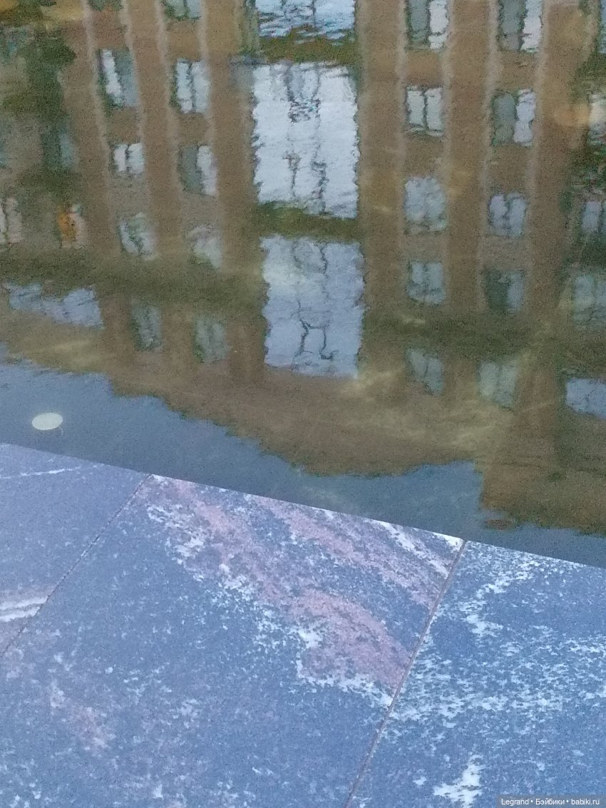 Из жизни моих мишек: Мишель и вечерний кофе в Парадном (фото 3)