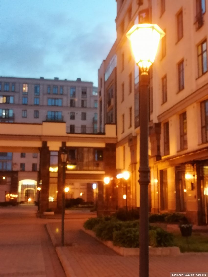 Из жизни моих мишек: вечерняя прогулка Мишеля