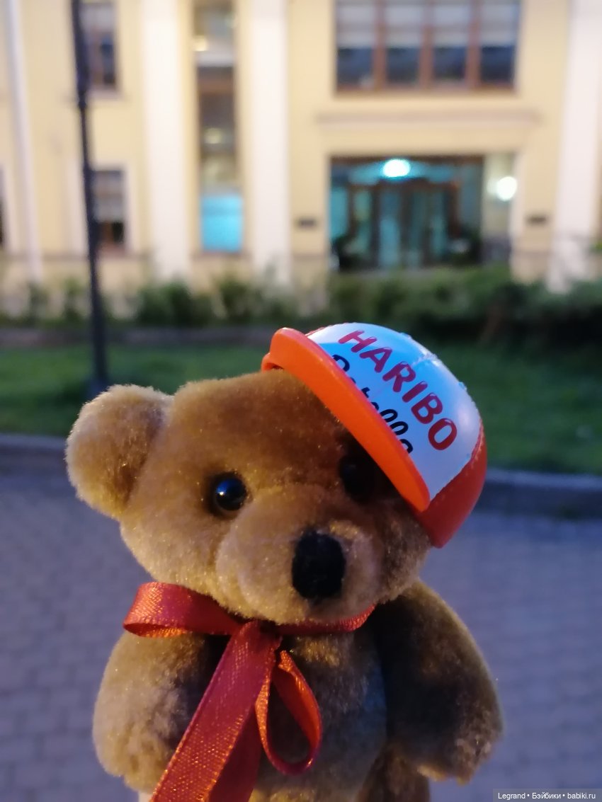 Из жизни моих мишек: вечерняя прогулка Мишеля