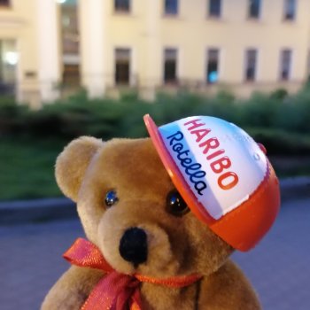 Из жизни моих мишек: вечерняя прогулка Мишеля