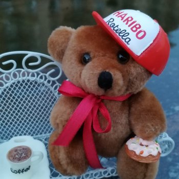 Из жизни моих мишек: Мишель и вечерний кофе в Парадном