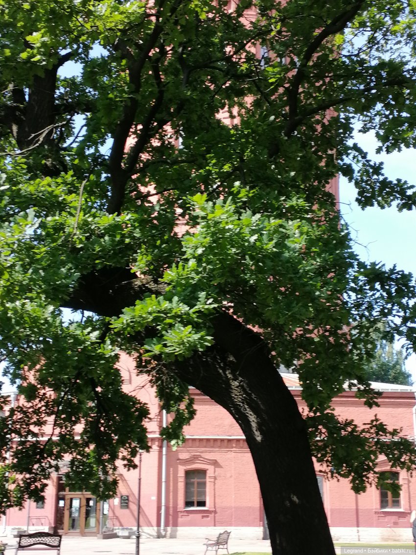 Санкт-Петербург: Берен у фонтана возле музея "Мир воды" (фото 8)