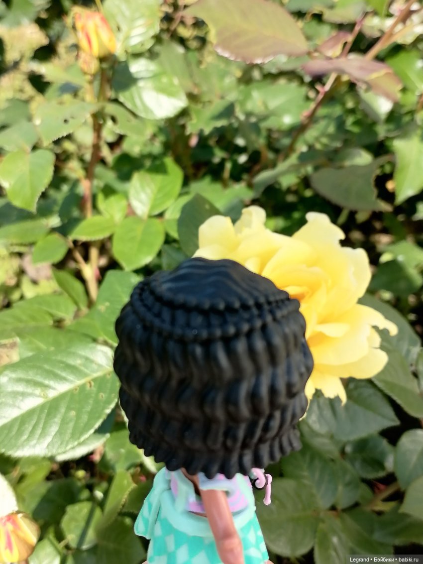 Санкт-Петербург: Берен и Айсель на прогулке - розы