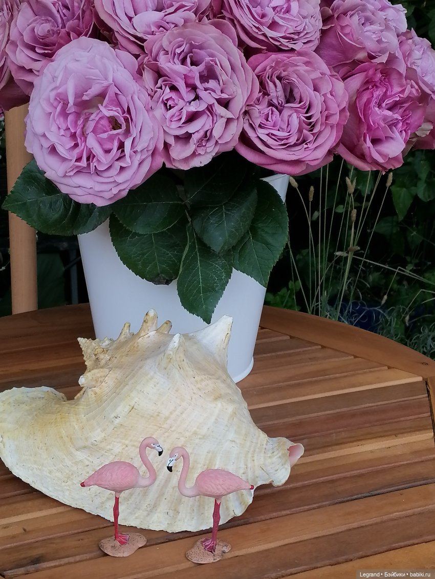 Санкт-Петербург: городские цветы и розовые фламинго - часть первая