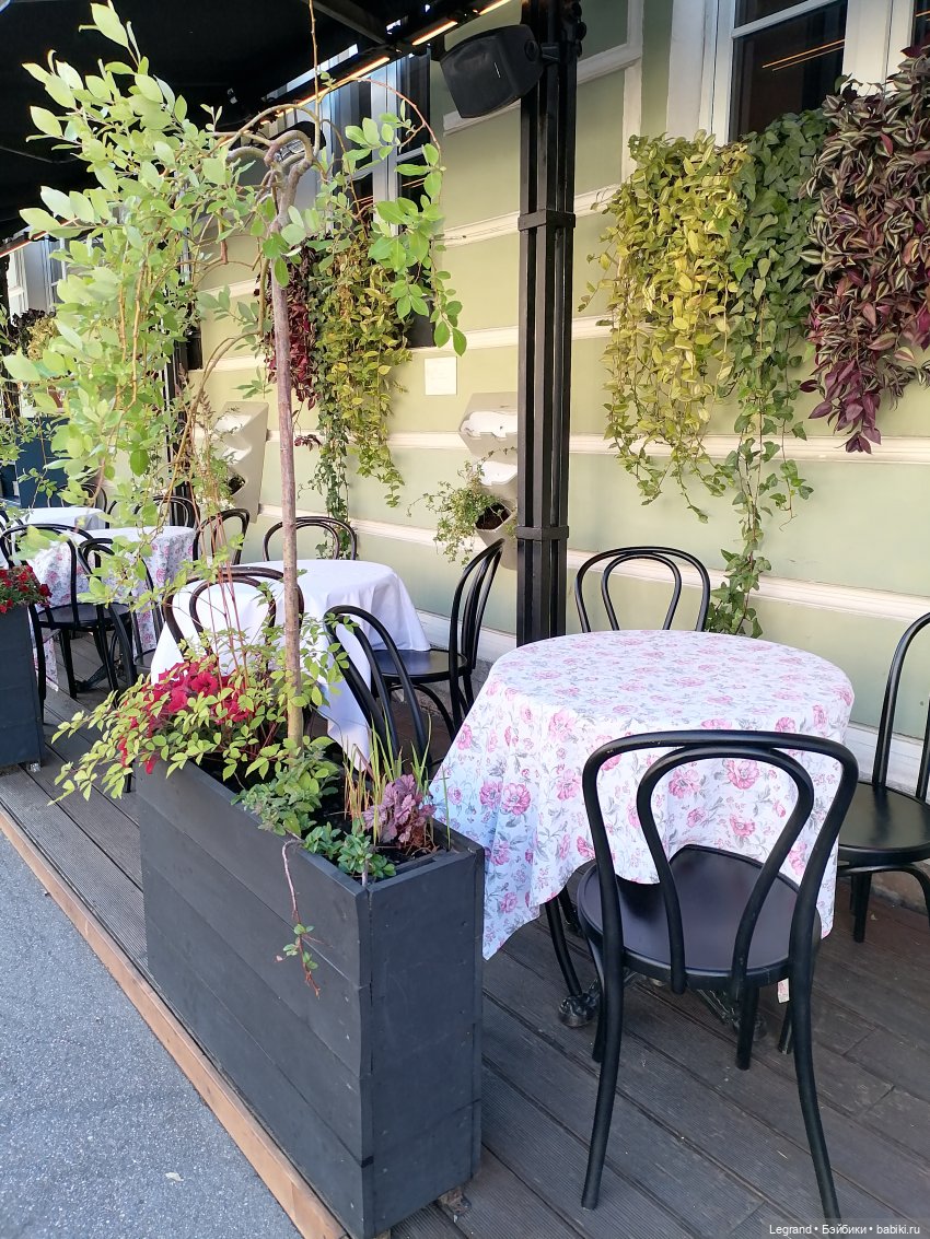 Санкт-Петербург: городские цветы и розовые фламинго - часть первая (фото 7)