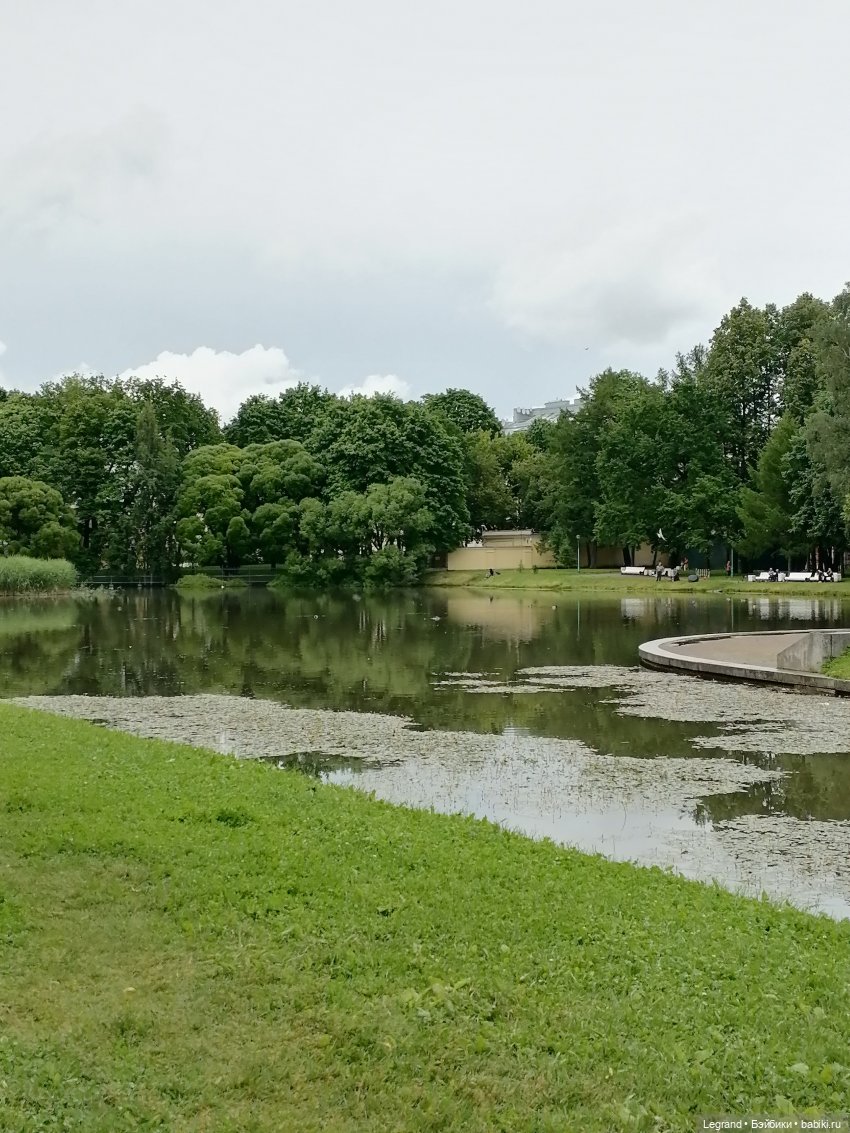 Санкт-Петербург: городские цветы и розовые фламинго - часть вторая (фото 9)