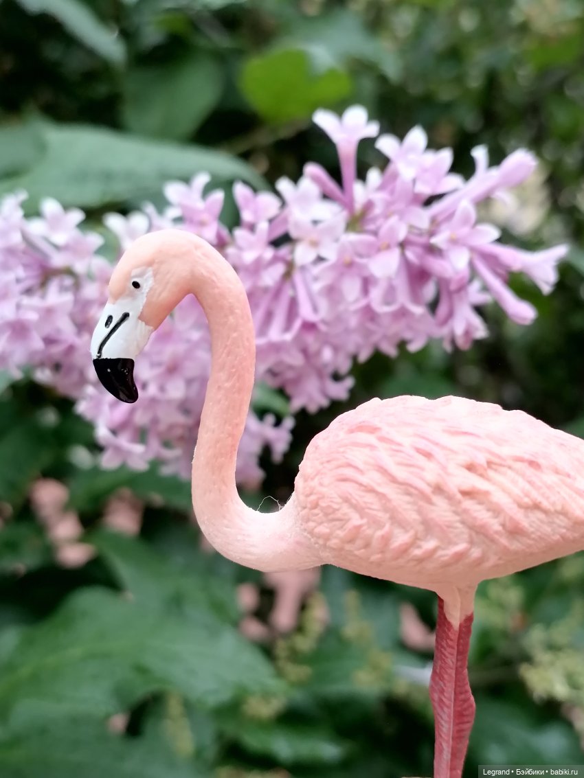 Санкт-Петербург: городские цветы и розовые фламинго - часть вторая (фото 3)